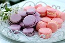 Guraba ♥ фотография #11 (источник - https://vk.com/id152640699)
