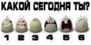 Олічка Сидорчук фотография #41 (источник - https://vk.com/id155407831)