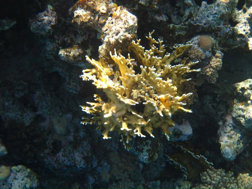 Борис Кишкилев фото №15