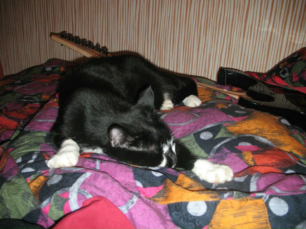 Илья Журба фотография #26