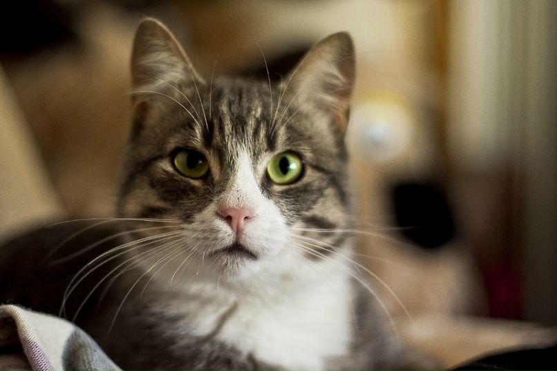 Дмитрий Старущик фотография #10