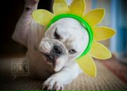 Андрій Сень фотография #32 (источник - https://vk.com/id87185075)