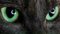 Фотография Беловой Оксаны