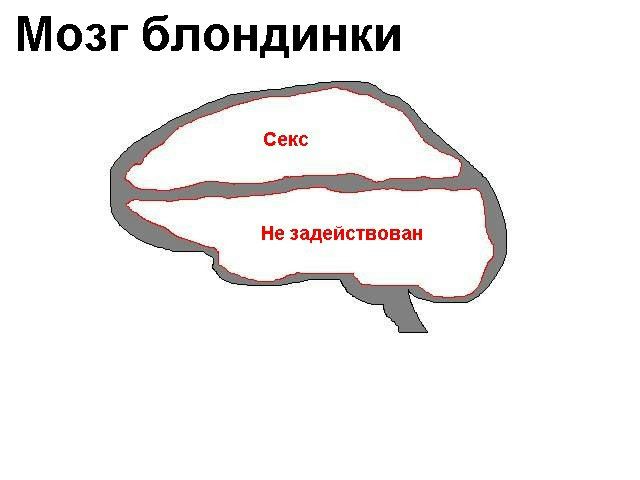 Дмитрий Петрович фото №3