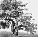 Ліля Щупак фотография #50 (источник - https://vk.com/id107687868)