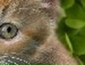 Іра Федорович фотография #33 (источник - https://vk.com/id147507521)