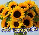 Світлана Сумська фотография #3 (источник - https://vk.com/id165664295)