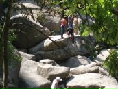 Ігор Носалюк фотография #21 (источник - https://vk.com/id33754899)