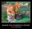 Тіма Федас фотография #39 (источник - https://vk.com/id157667946)