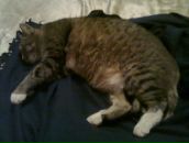 Фотография Иноземцевой Ирины