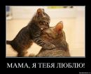 Ігор Тучапський фотография #50 (источник - https://vk.com/id54606116)
