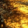 Каріна Сікорська фотография #26 (источник - https://vk.com/id154364347)