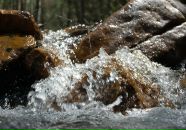 Михаил Яковлев фотография #47 (источник - https://vk.com/id2403530)