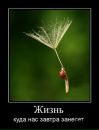 Фотография Бояршина Сергея