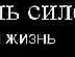Міша Стадник фотография #32 (источник - https://vk.com/id54745321)