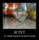 Фотография Лагиревой Веры