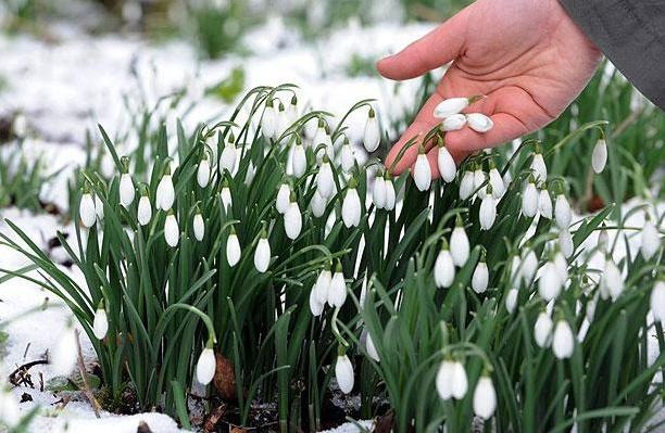 Евгений Сергеев фотография #36