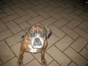 Анатолій Рачок фотография #24 (источник - https://vk.com/id101345697)