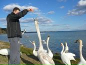 Фотография Пченикина Александра