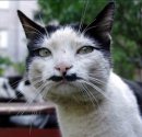 Фотография Котовой Анны