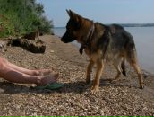 Фотография Жебряковой Марины