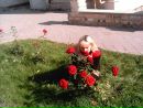 Віка Савчин фотография #42 (источник - https://vk.com/id79587086)