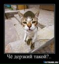 Фотография Орлова Дениса