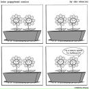 Фотография Сергиенко Сергея