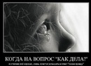 Фотография Уткиной Светланы