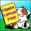 Ваня Грешко фотография #24 (источник - https://vk.com/id72169990)