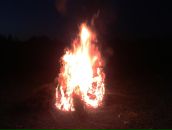 Фотография Старцева Александра