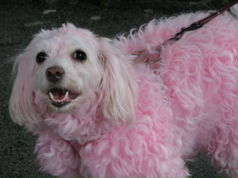 Ксения Хацко фотография #44