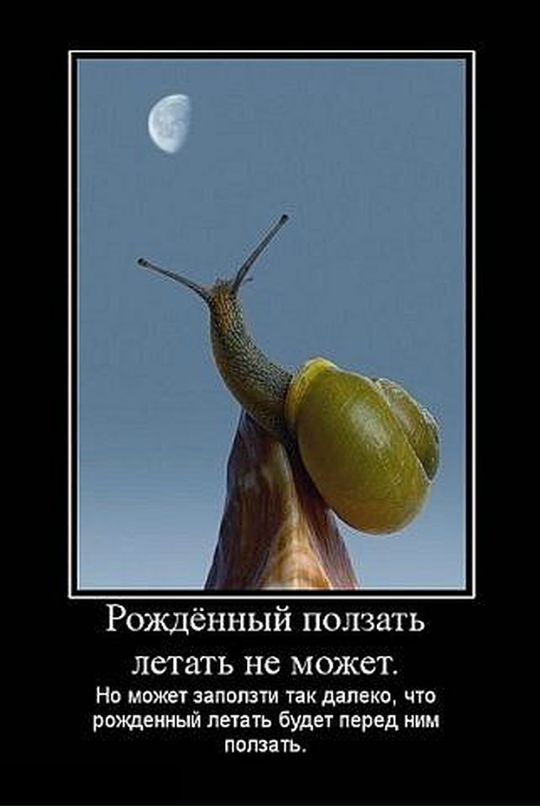 J@ rill фотография #46