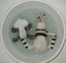 Фотография Шук Зои