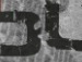 Андрій Бегійович фотография #32 (источник - https://vk.com/id143082120)