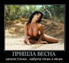 Фотография Рубцова Дмитрия