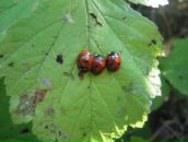 Фотография Сайгиной Натальи