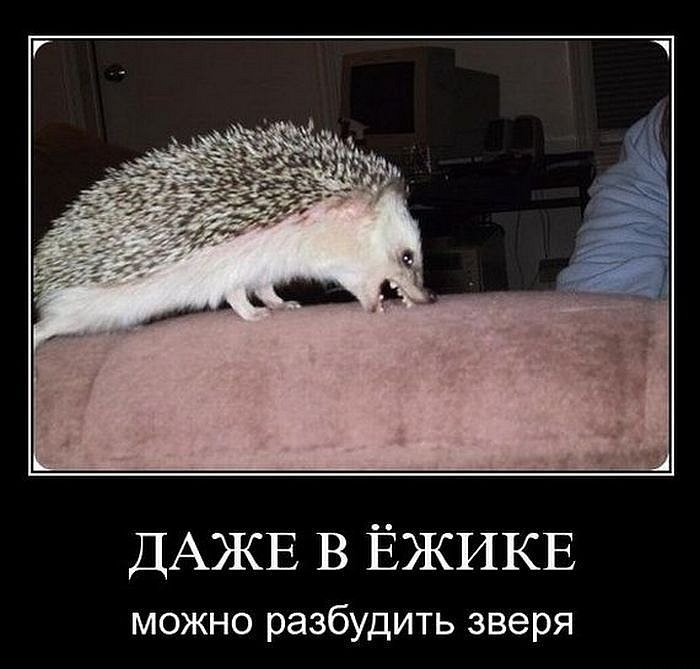 Сергей Кунакин фотография #30