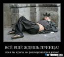 Фотография Новикова Даша