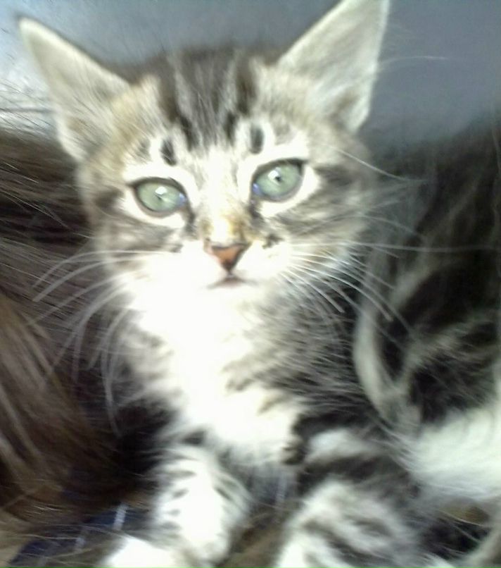 Александр Иванов фотография #5