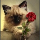 Ілюша Попюк фотография #39 (источник - https://vk.com/id148064056)