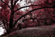 Ирина Сорокина фотография #44 (источник - https://vk.com/id271659)