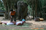 Фотография Шутовой Екатерины