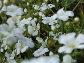 Юліана Никуляк фотография #49 (источник - https://vk.com/id38355161)