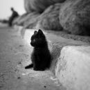 Алік Іванов фотография #9 (источник - https://vk.com/id1144738)