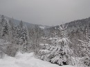 Галина Петішка фотография #6 (источник - https://vk.com/id148030592)