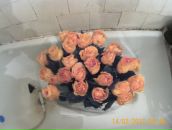 Фотография Моргачёва Александра