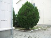 Дмитрий Селентьев фотография #14 (источник - https://vk.com/id418168)