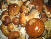 Фотография Даен Ирины