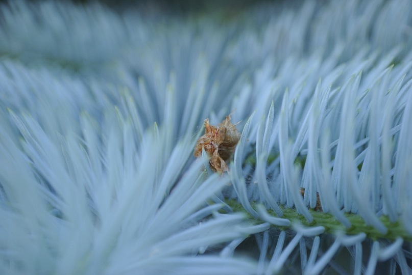 Сергей Репин фотография #31